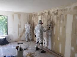 Professional Mold Removal & Remediation in Nazareth College, NY